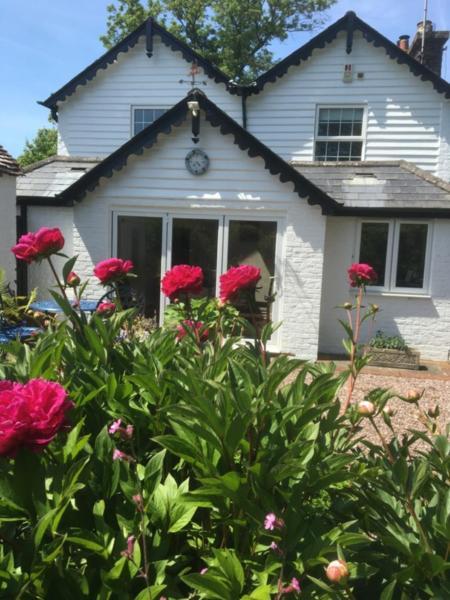 Wishing Well Cottage Wilmington  Exterior photo
