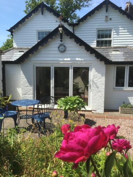Wishing Well Cottage Wilmington  Exterior photo